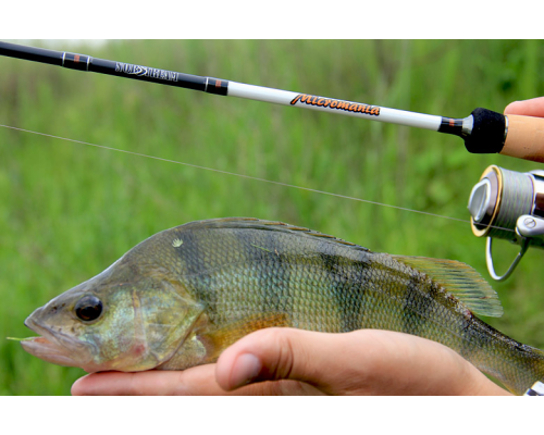 Спиннинг Norstream Micromania 792L 2.36м 1,5-10гр