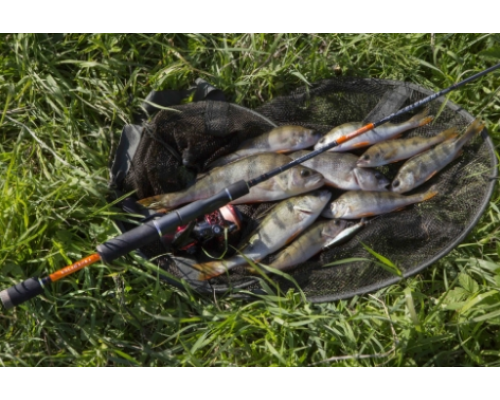 Спиннинг Волжанка Pro Sport Element 1.8м, 3-12гр