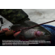 Спиннинг Zemex Aurora Trout 662UL 1.98 м, 0,5-6 гр
