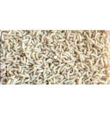 Опарыш белый крупный кормовой 0,5 литра