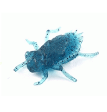 Личинка FishUp Dragonfly 0.75" (12шт) цвет 051 - Blue Craw/Navy