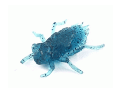 Личинка FishUp Dragonfly 0.75" (12шт) цвет 051 - Blue Craw/Navy