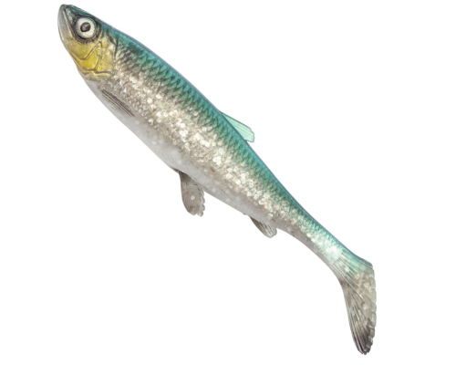 Приманка Savage Gear 3D Herring Shad V2 17,5sm 35gr #Green Silver (2шт в уп)