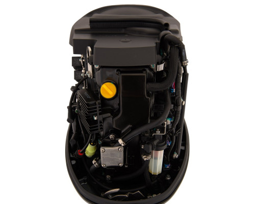 Лодочный мотор 4T Seanovo SNEF 60 FVEL-T EFI (1.85)