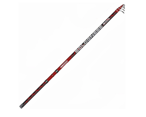 Удилище поплавочное с кольцами Team Salmo Bolognese 5м