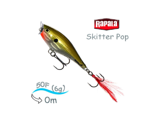 Воблер Rapala Skitter Pop 05 /GCH