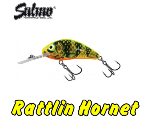 Воблер Salmo Hornet Rattlin 65F, цвет GFP