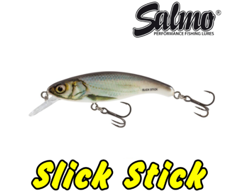 Воблер плавающий Salmo Slick Stick 60F, цвет RBL