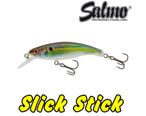 Воблер плавающий Salmo Slick Stick 60F, цвет RHS