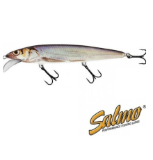 Воблер Salmo Whacky 09F цвет RBL